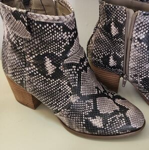 Carlos by Carlos Santana Snake Print Ankle Boots